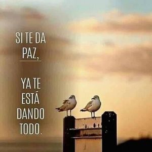 Meet your Posher, Evelyn